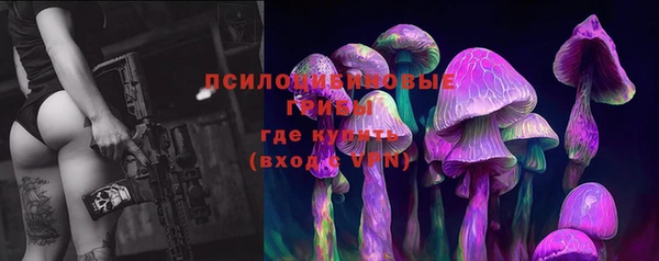 эйфоретик Новодвинск