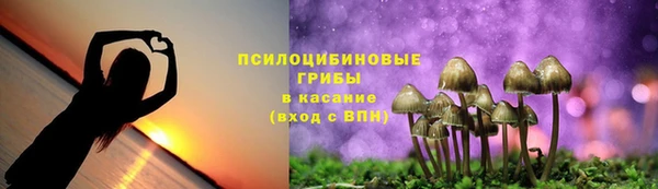 эйфоретик Новодвинск