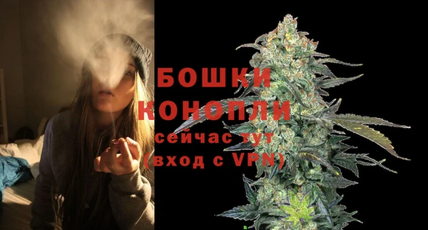 каннабис Новокубанск