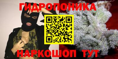 Альфа ПВП Гусев