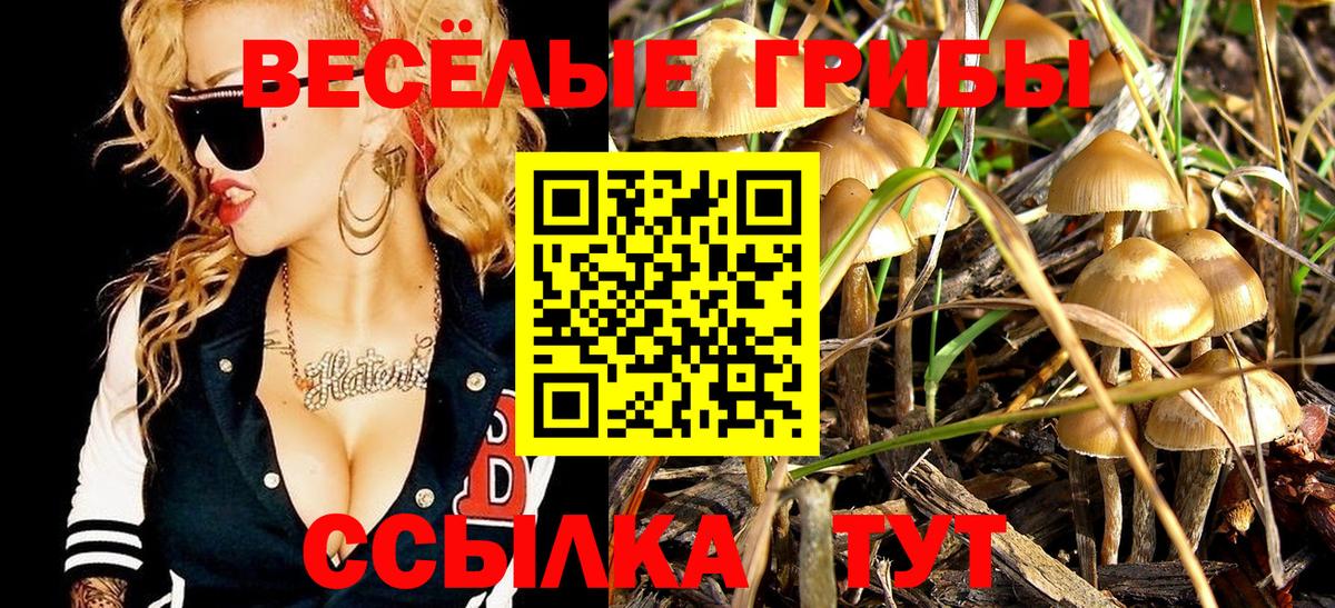 Галлюциногенные грибы GOLDEN TEACHER Энгельс