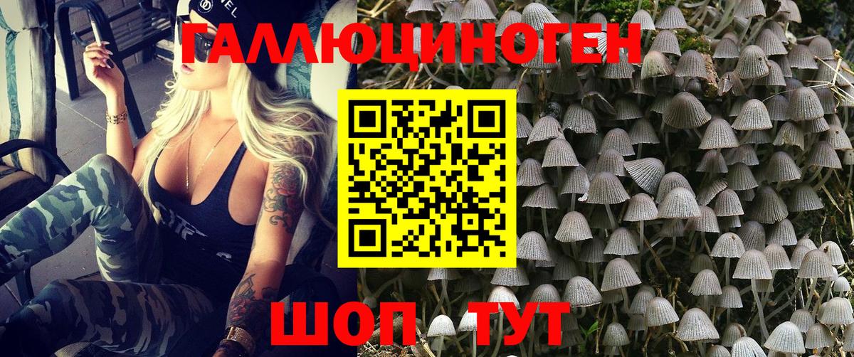 Энгельс  Псилоцибиновые грибы MAGIC MUSHROOMS  Галлюциногенные грибы ЛСД  Вход с VPN 